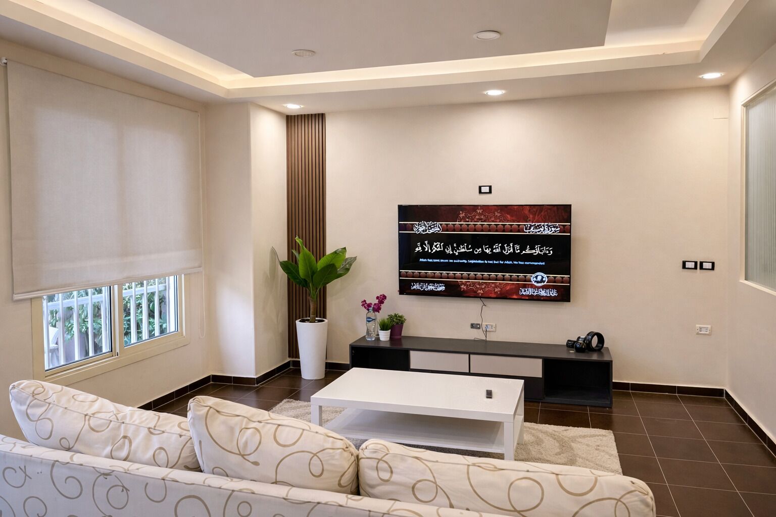 A modern living room with a flat-screen TV, a sofa, a coffee table, and a potted plant.