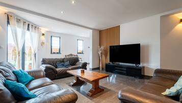 TV, fireplace, table tennis