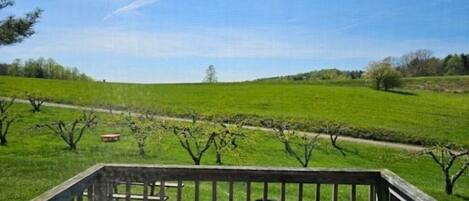 A wooden deck with a bench and a table, overlooking a green field with trees and a clear sky.