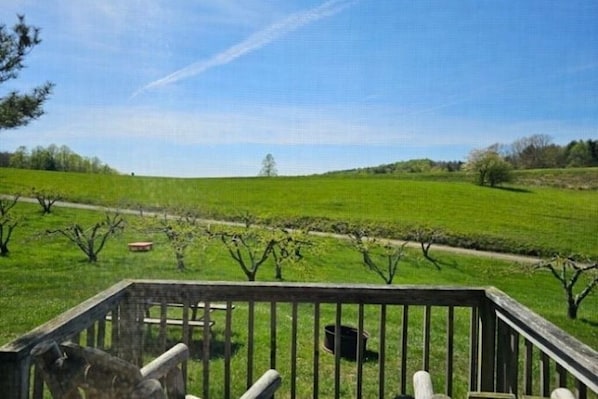 Property grounds - Pet Friendly Camping Cabin on the Blue Ridge Parkway (Fancy Gap)