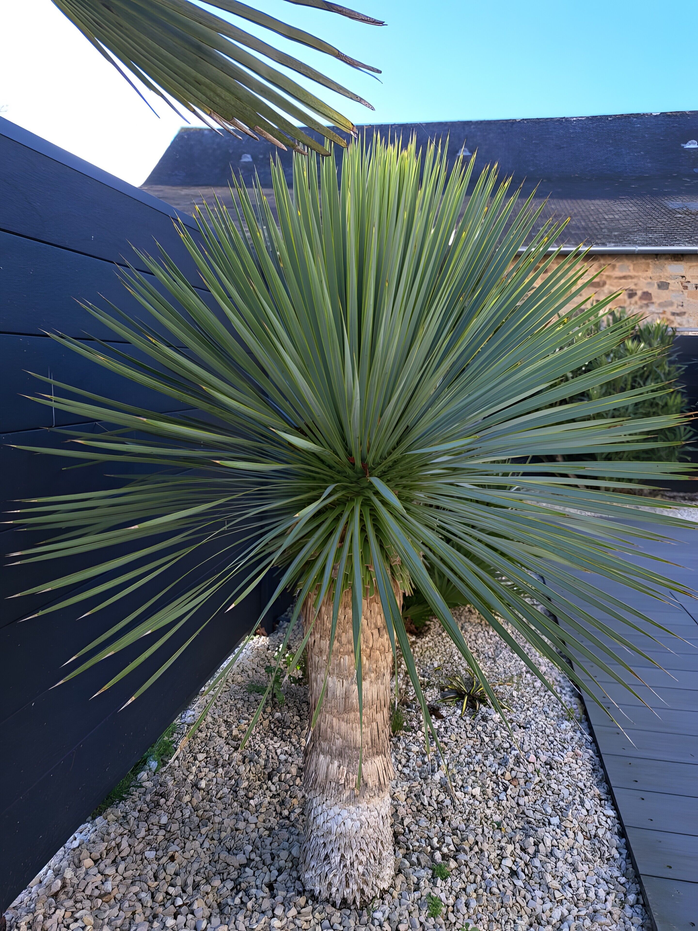 Details aan de buitenkant