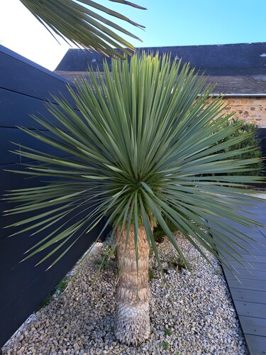 Guest Room “Les Reflets du Golfe” with Shared Garden and Wi-Fi