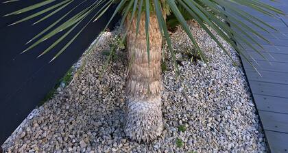 Guest Room “Les Reflets du Golfe” with Shared Garden and Wi-Fi