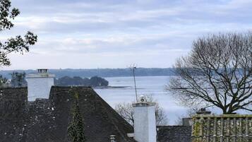 Vista de uma área residencial com um corpo d'água, árvores e um céu nublado.
