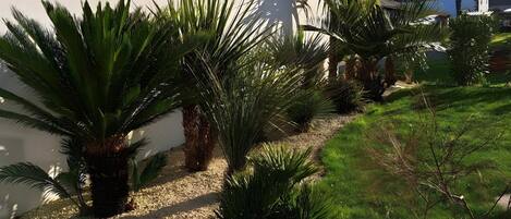 Terrain de lâhĂ©bergement