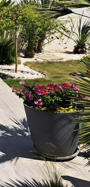 Overnattingsstedets uteområder