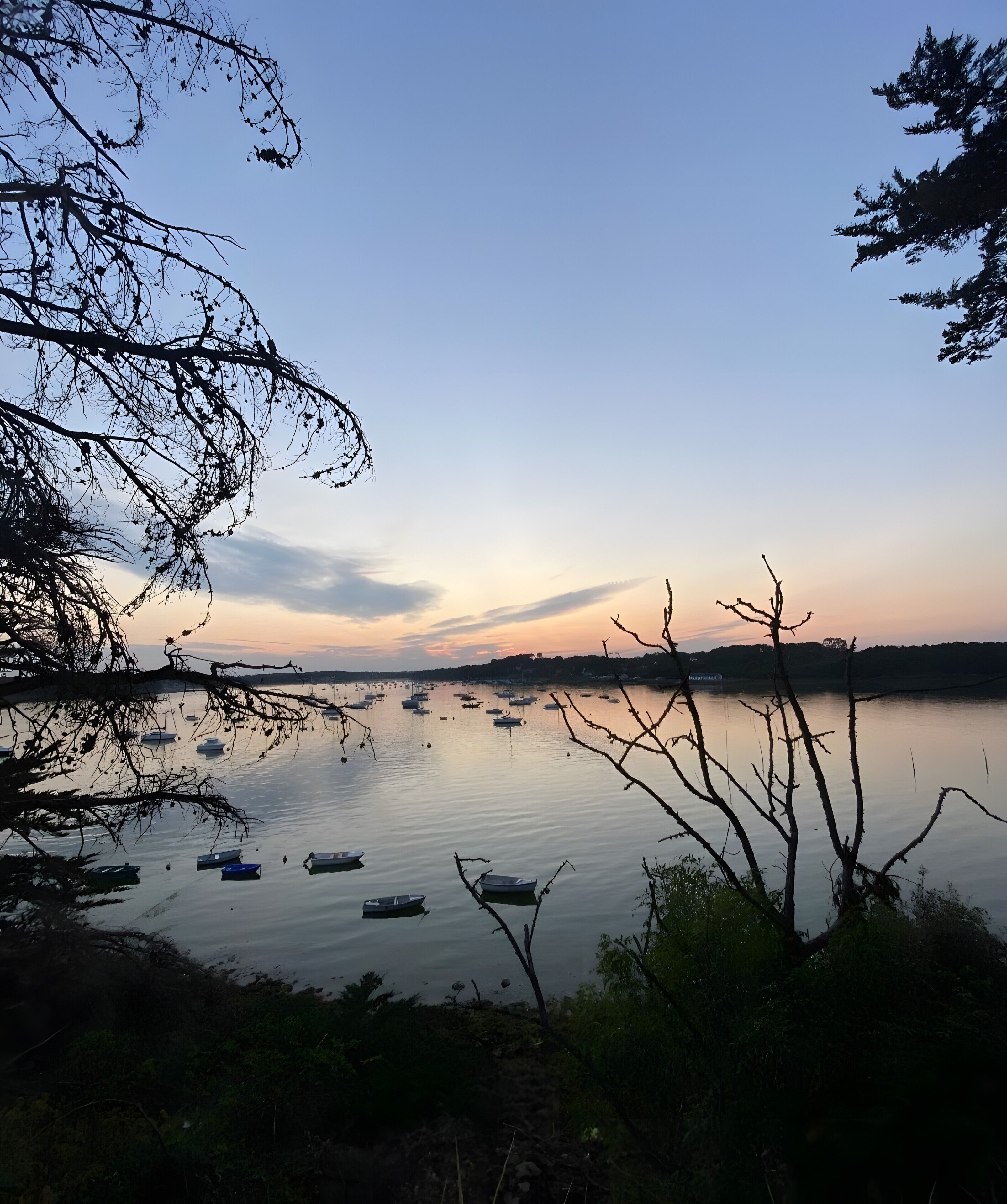 A calm lake with boats, surrounded by trees and a clear sky.