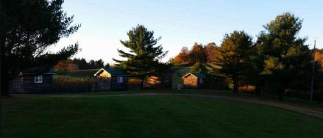 A rural setting with three wooden cabins, surrounded by a grassy field and trees.