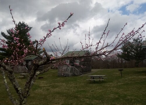 Couple and Pet Friendly Camping Cabin on the Blue Ridge Parkway