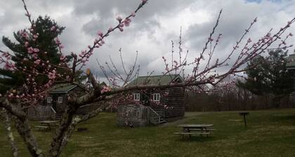 Couple and Pet Friendly Camping Cabin on the Blue Ridge Parkway