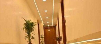 Collection O Kudachi