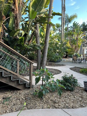 Un jardín con un sendero de concreto, una escalera de madera y una zona de estar con sillas y una sombrilla.