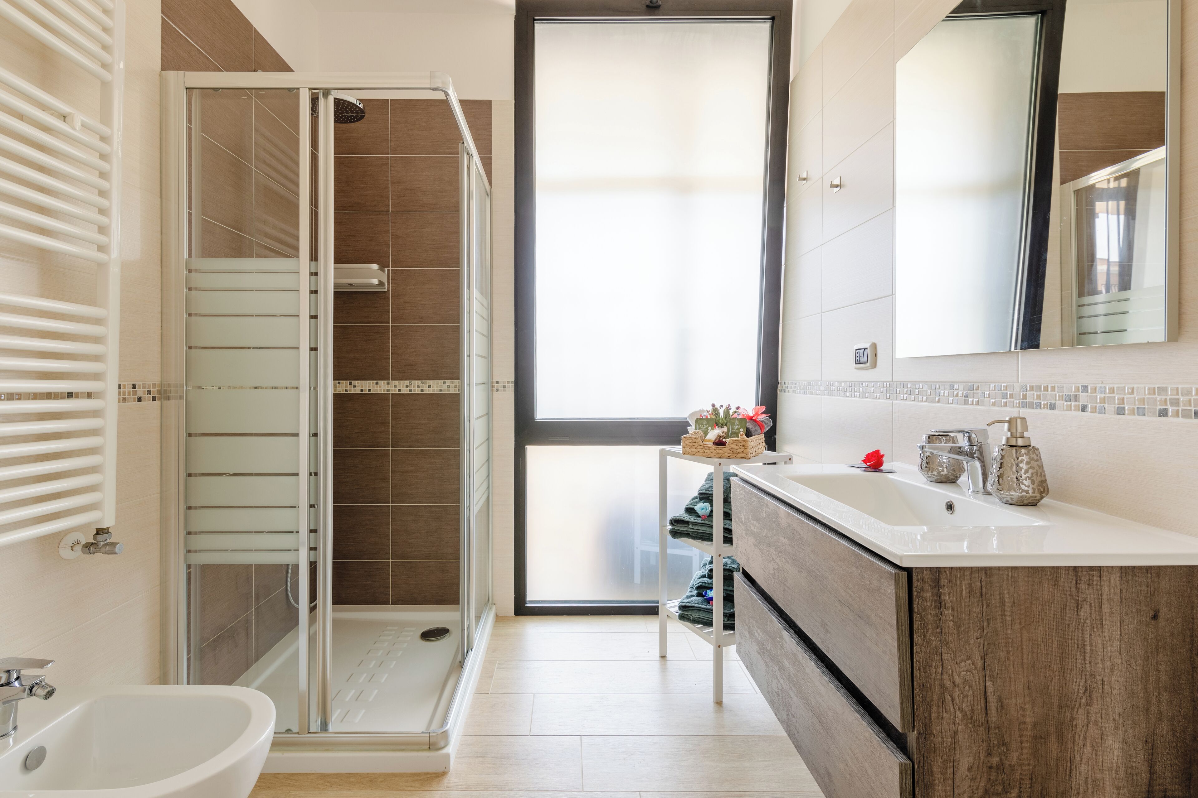 Shower, hair dryer, bidet, towels