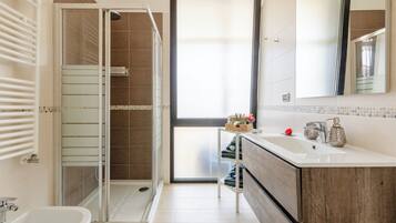 Shower, hair dryer, bidet, towels