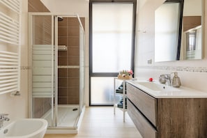 Shower, hair dryer, bidet, towels