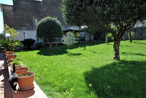 Apartment, Multiple Bedrooms, Smoking, Private Pool | Garden - Marta's Studio in Formia (Formia)