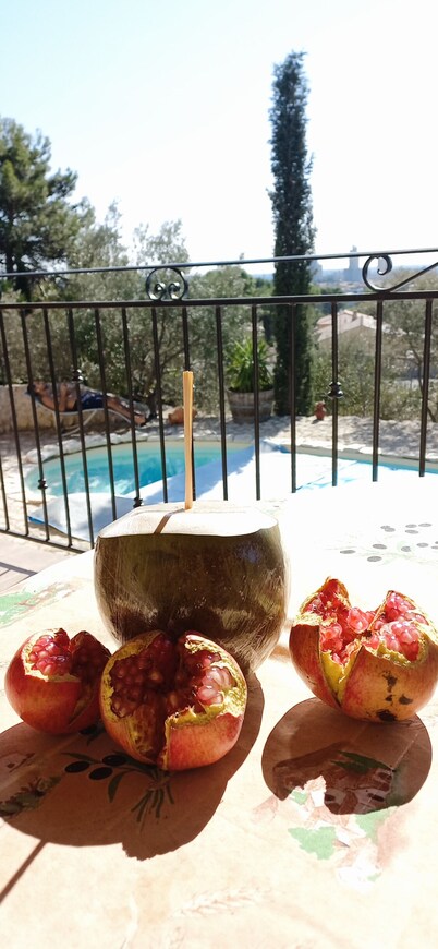 Villa Provençale