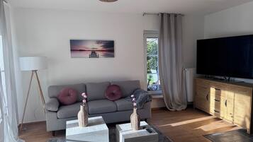 TV connectée, cheminée, livres, chaßne hi-fi