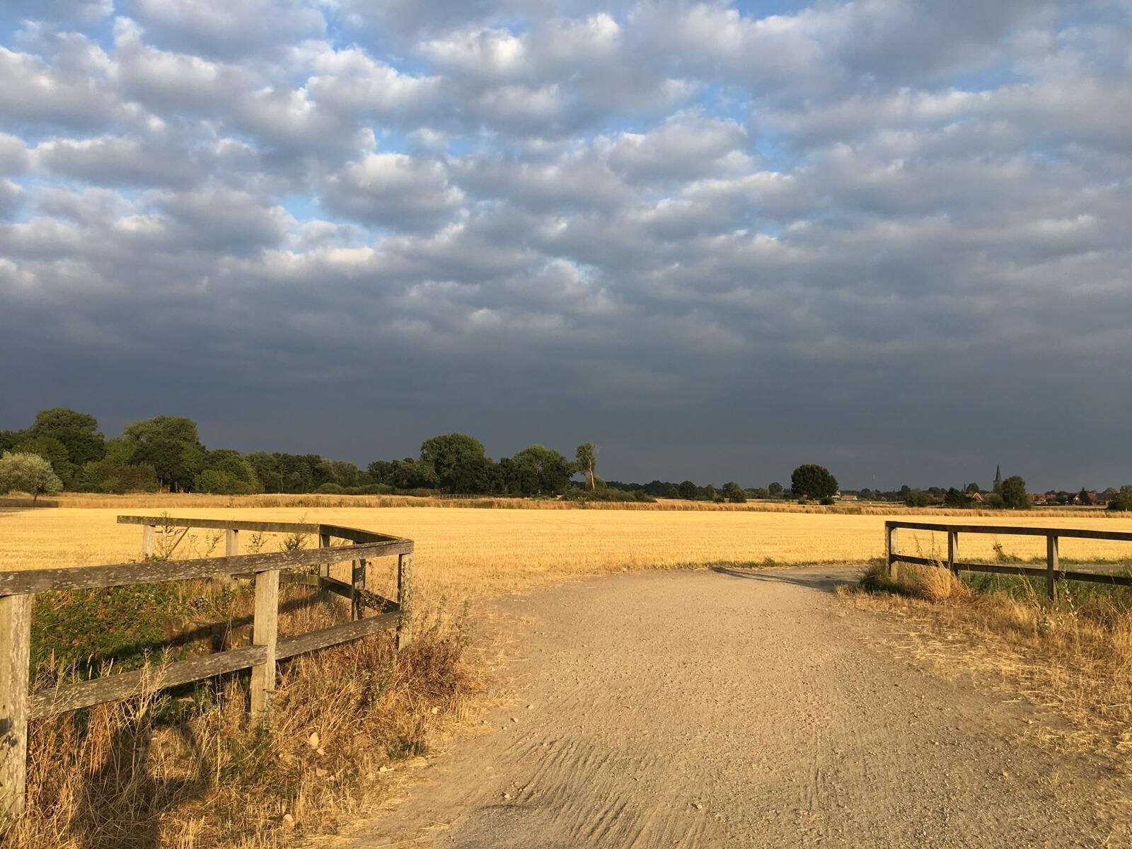 A dirt path leading through a field with a wooden fence on one side.