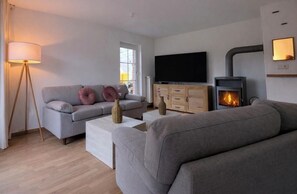 Smart TV, chimenea, libros, estéreo