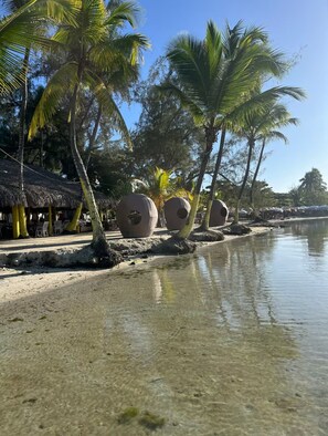 Playa en los alrededores
