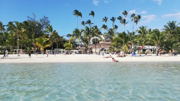 A beach with clear turquoise water, palm trees, and a white sandy shore.