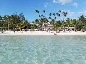 A beach with clear turquoise water, palm trees, and a white sandy shore.