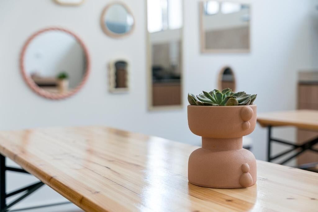 Une table en bois sur laquelle est posé un pot en terre cuite contenant une plante succulente.
