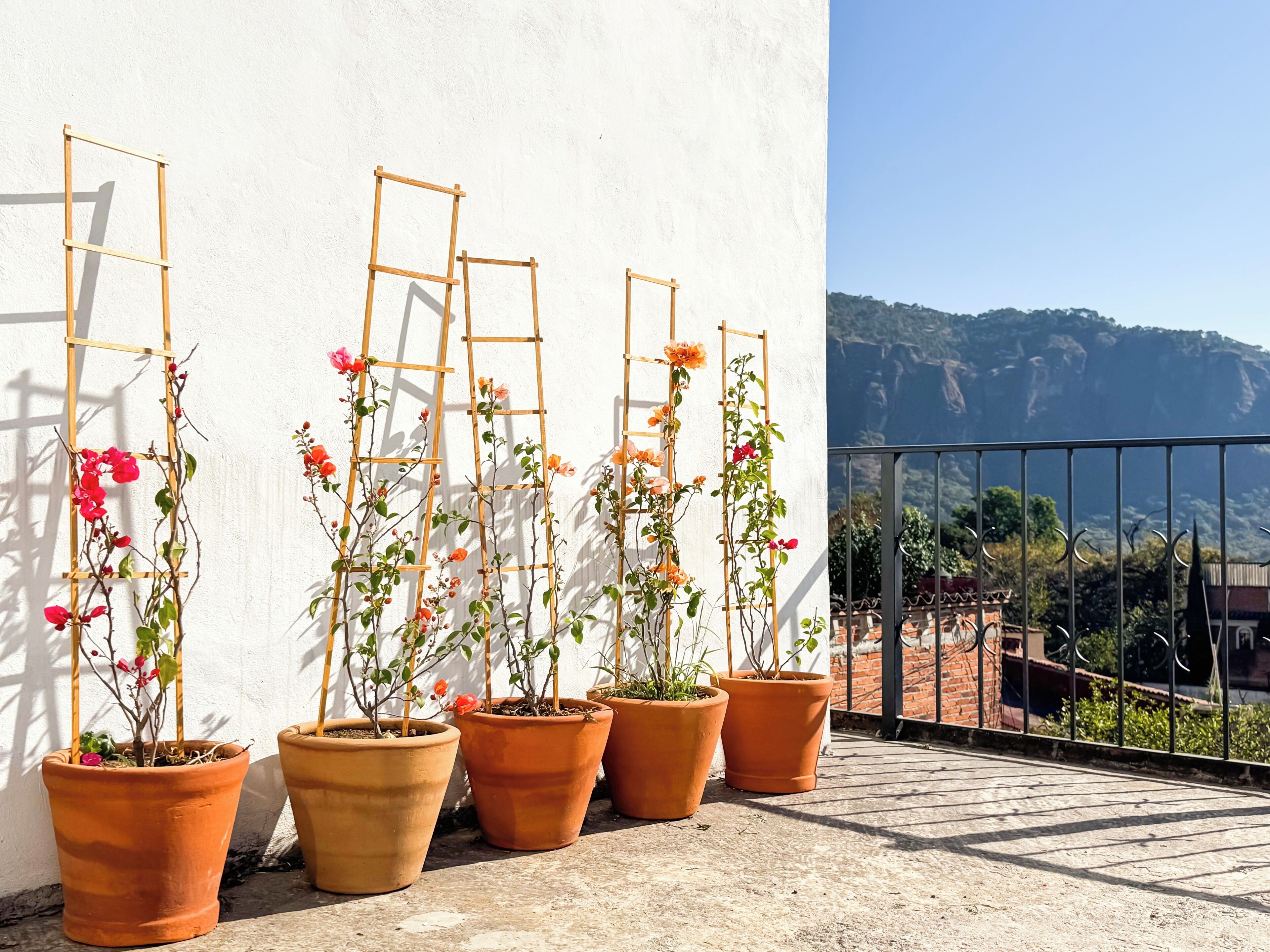 Áreas de la propiedad