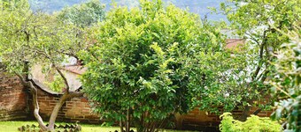 Casa La Santísima Vista 