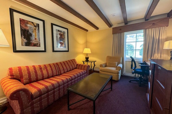 Stretch out on the sofa and savor soft natural light.