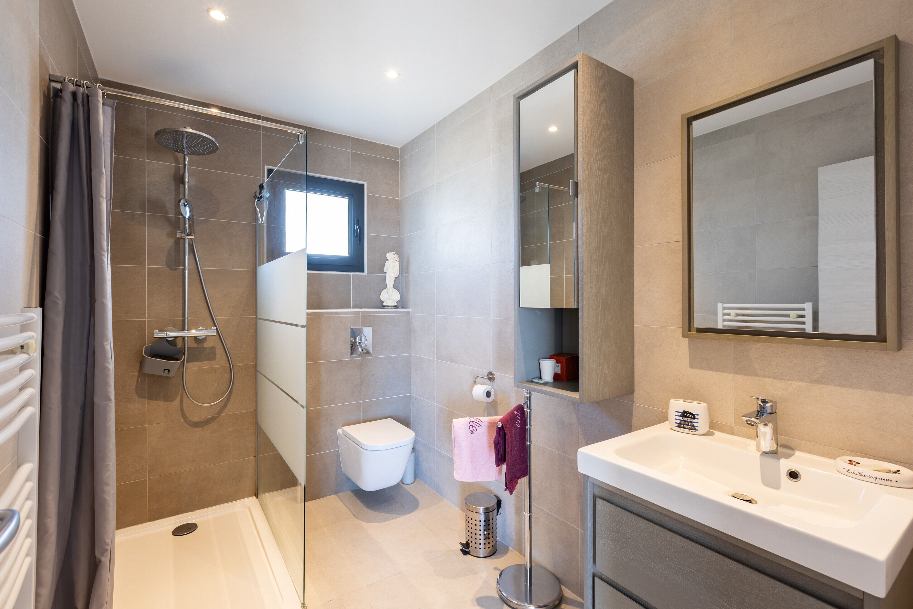 Shower, hair dryer, towels