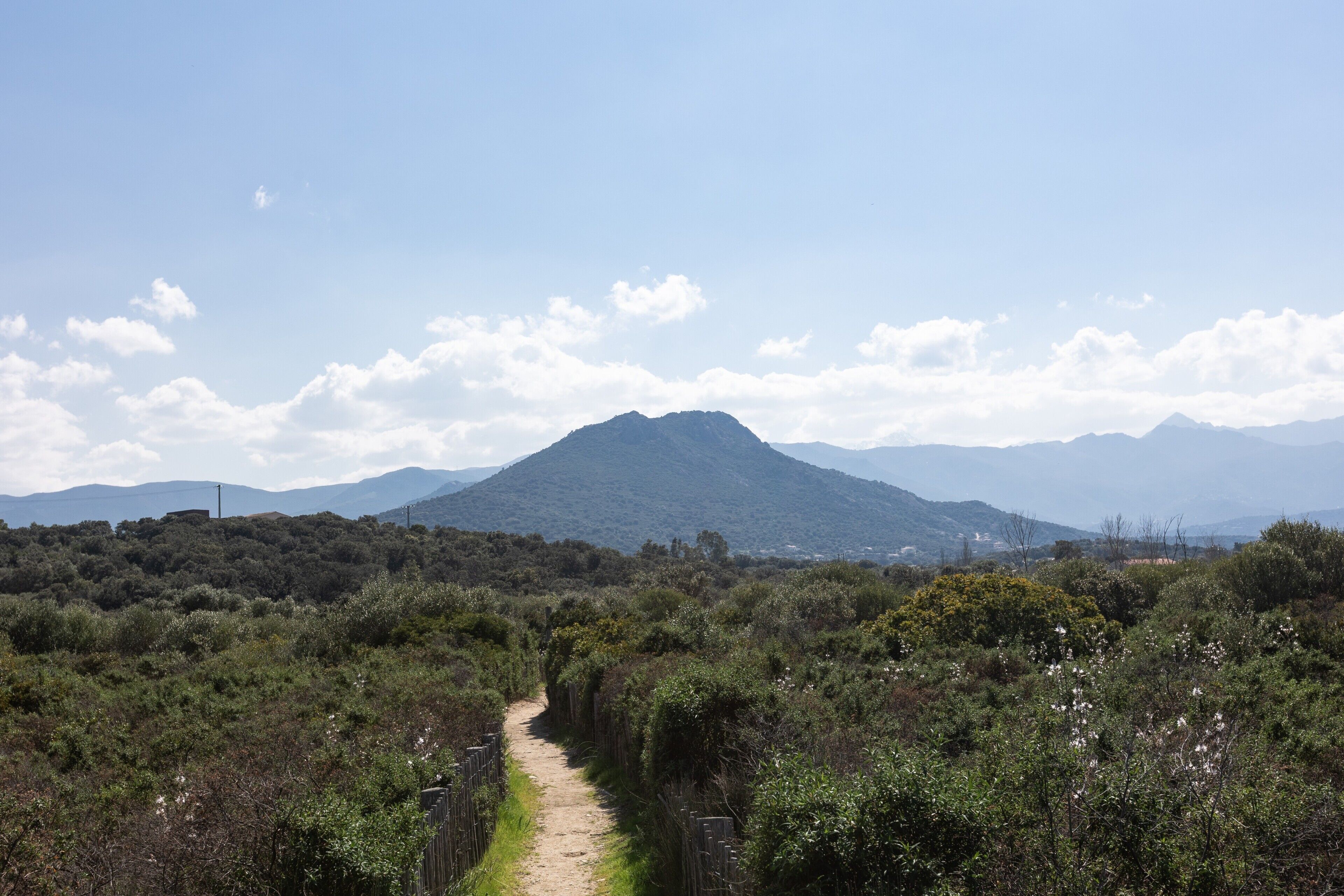 A mountain path leading to a mountain with a clear sky.