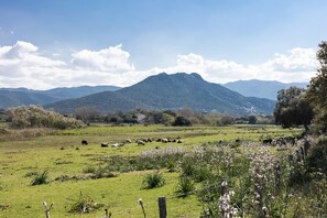 A rural landscape with a mountain, green fields, and a fence.