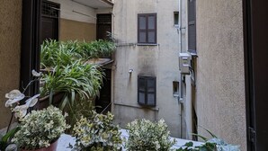 A narrow courtyard with potted plants and a building with multiple windows and shutters. - Roomz Romestay (Rome)