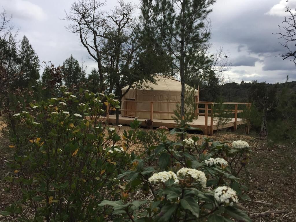 Een houten hutje met terras, omringd door bomen en bloeiende witte planten.
