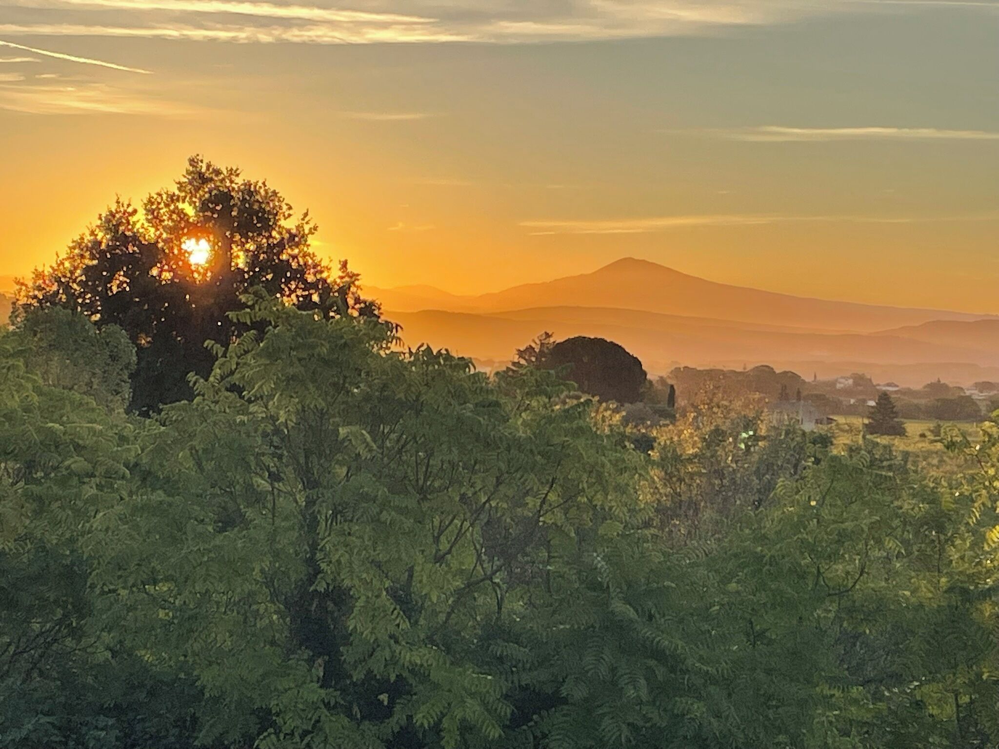 Eine Landschaft mit einem Berg im Hintergrund, dichtem Grün im Vordergrund und einem klaren Himmel.