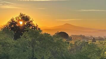 Eine Landschaft mit einem Berg im Hintergrund, dichtem Grün im Vordergrund und einem klaren Himmel.