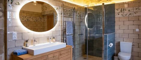 Une salle de bain moderne avec un meuble-lavabo en bois, un grand miroir, une douche en verre et des toilettes.