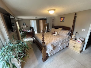 Um quarto com uma cama de dossel, uma mesa de cabeceira, um penteado e uma grande planta em vaso.