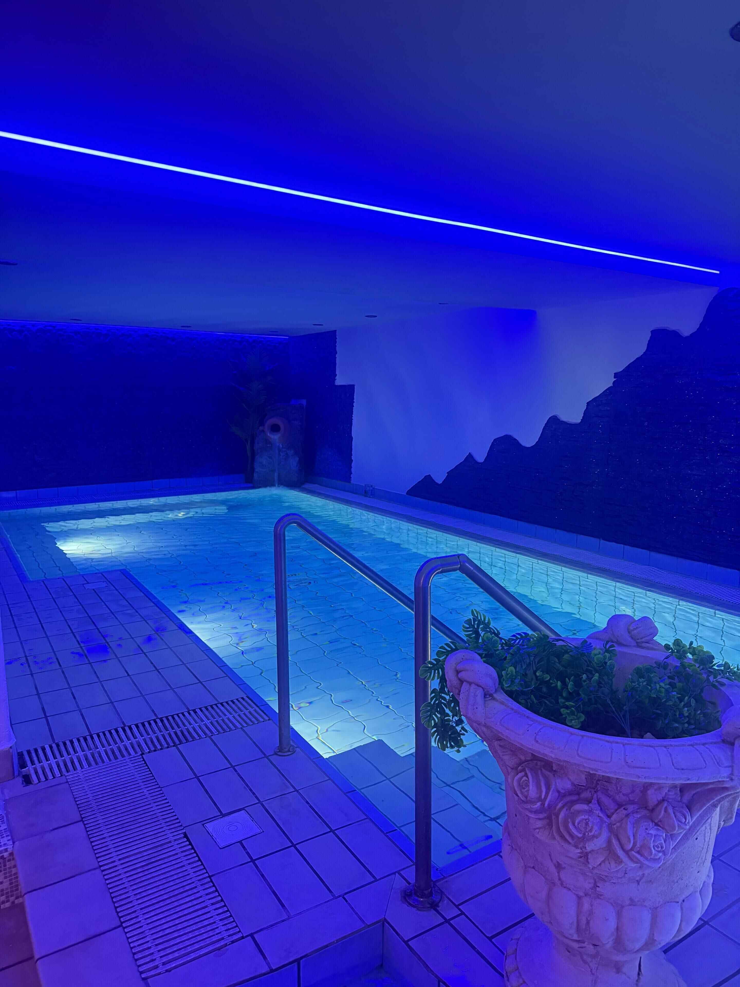 A pool area with a blue-lit ambiance, a stone wall with a mountain design, and a decorative planter with greenery.