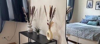 Urban & nature: modern apartment by the Zeisigwald forest/quiet & close to the city