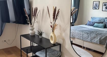 Urban & nature: modern apartment by the Zeisigwald forest/quiet & close to the city