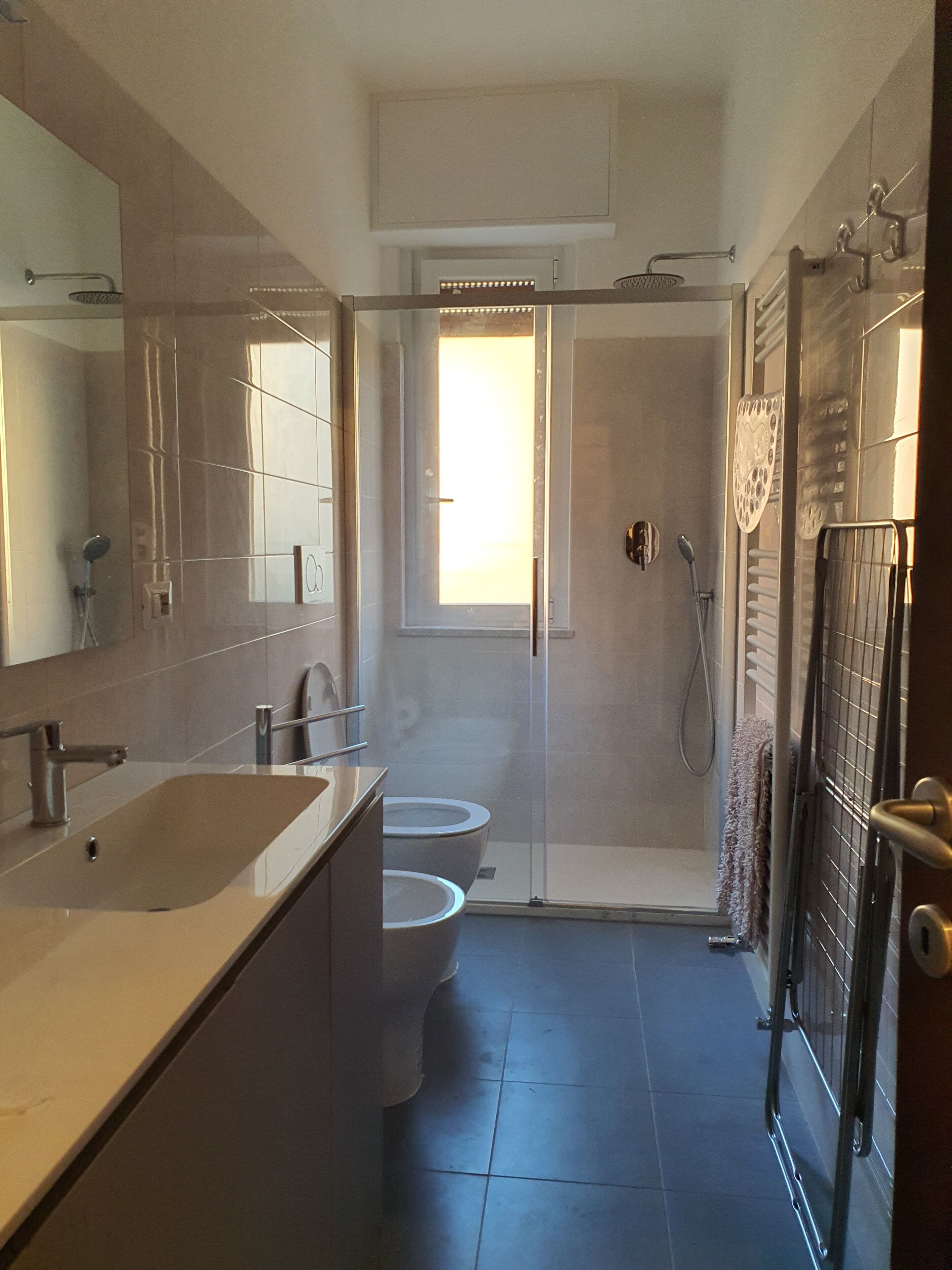 Shower, hair dryer, bidet, towels