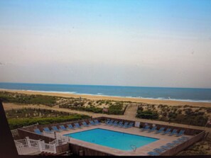 Pool - BEACH FRONT  1-bedroom condo in Ocean City (Ocean City)