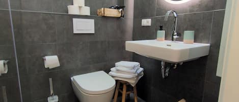 Hair dryer, towels, soap, toilet paper