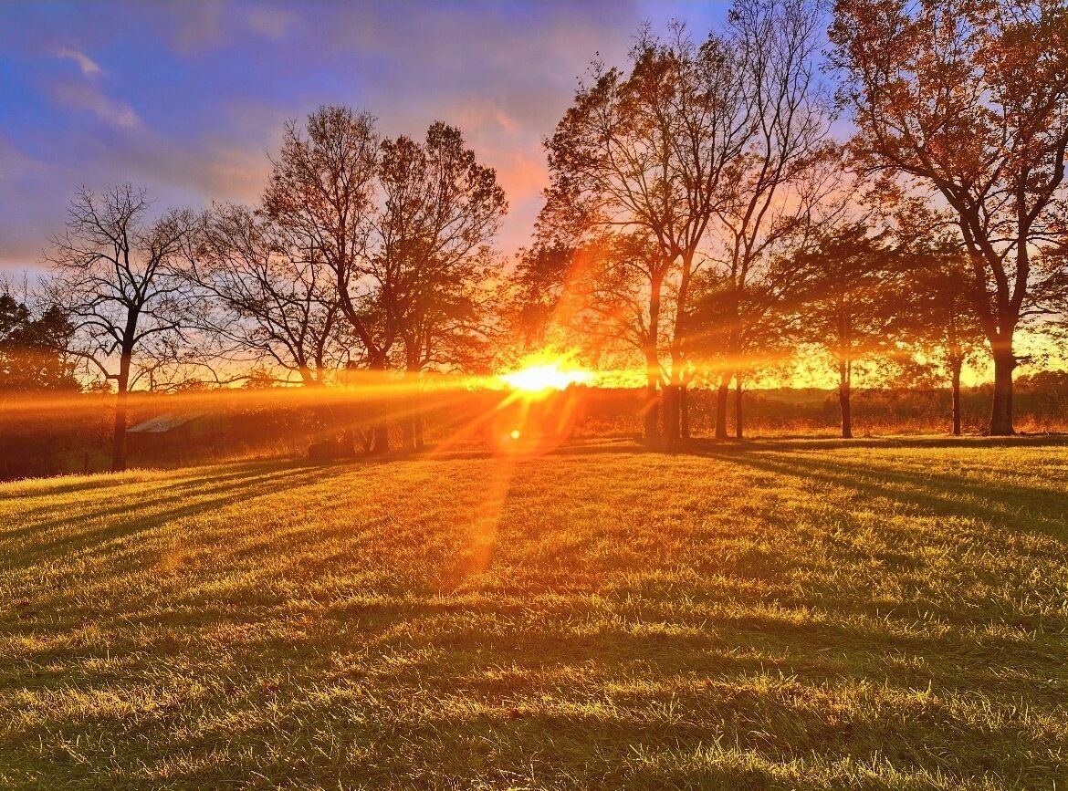 Ein Sonnenuntergang über einem grasbewachsen Feld mit Bäumen.