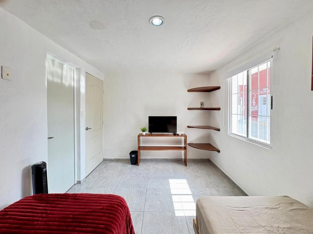 Ein Zimmer mit einem Bett, einem Fernseher auf einem Holzboden, einer kleinen Pflanze und einem Fenster mit Regalen.