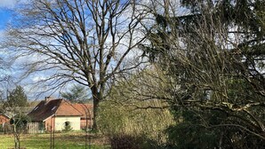 Une zone herbeuse avec un grand arbre et un bâtiment doté d’un toit en pente.