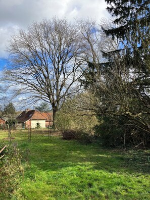 Property grounds - Chambre d'hôtes "Le Grand Chêne" near Troyes and the Lacs d'Orient (Montreuil-sur-Barse)